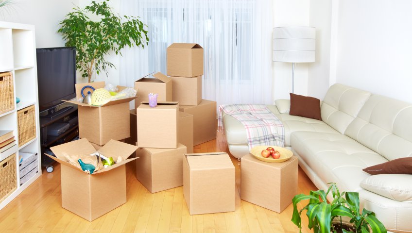 packers-and-movers