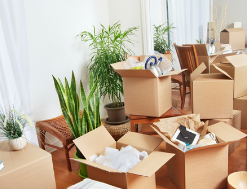 best packers and movers delhi